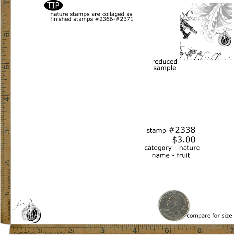 #2338 - Fruit - Nature